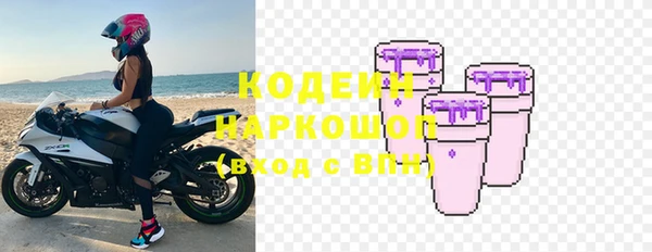 хмурый Вяземский