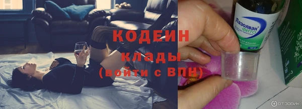 хмурый Вяземский
