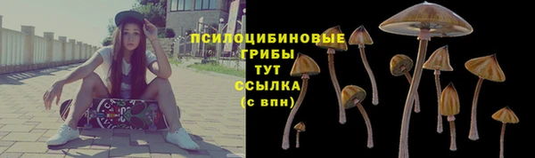 a pvp Вязники
