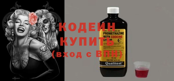 хмурый Вяземский
