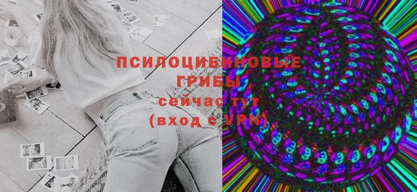 хмурый Вяземский