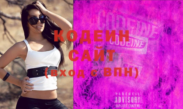 хмурый Вяземский
