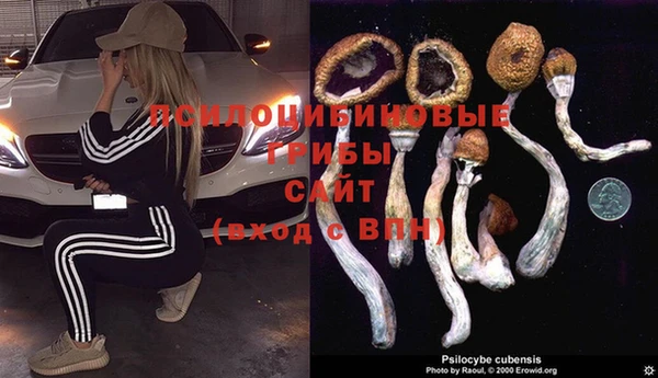 хмурый Вяземский