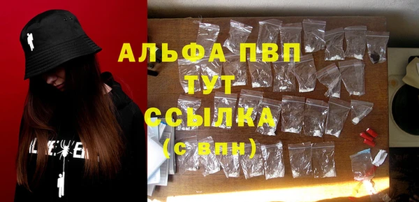 сатива Вязьма
