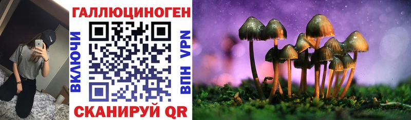 Галлюциногенные грибы MAGIC MUSHROOMS  Купить где  Кумертау 